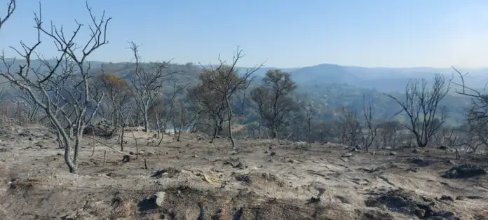 incendio después 8