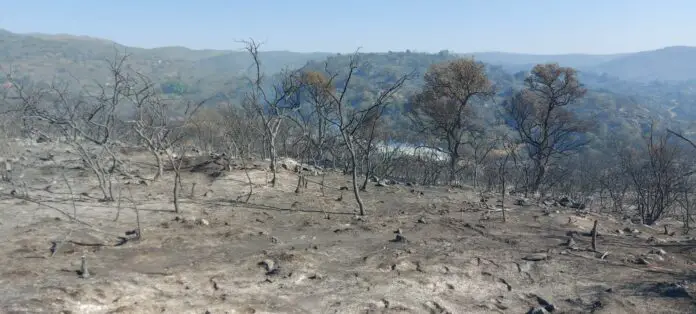 incendio después dos