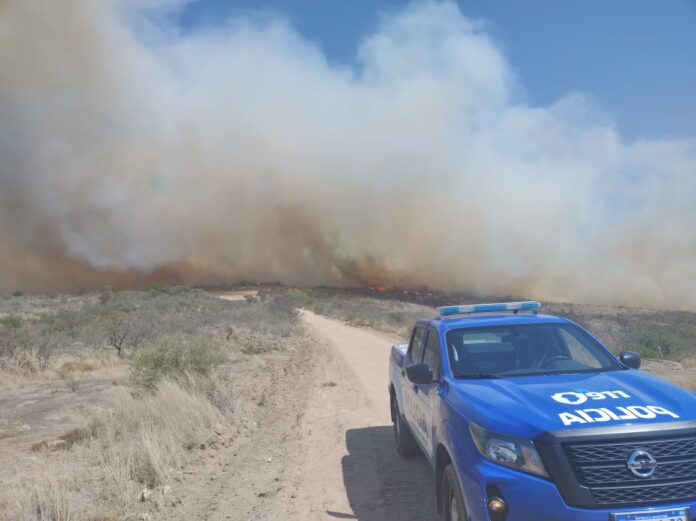 incendio poli