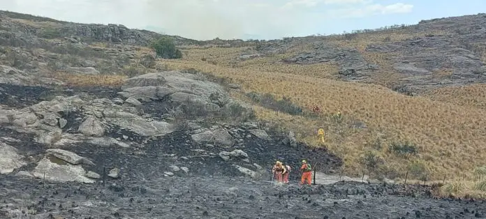 incendiocopina