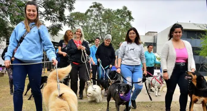 perros