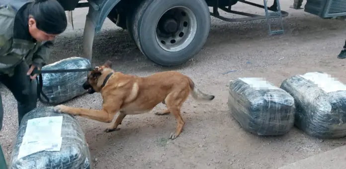 Más de 8kg cocaína Córdoba (3)