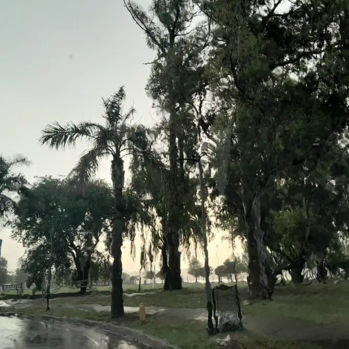 WhatsApp Image 2023-11-22 at 06.39.43