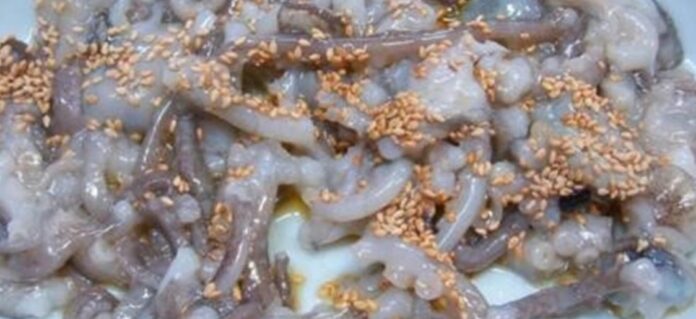 pulpo