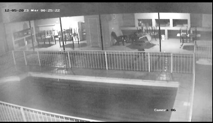 Ladrón y microondas