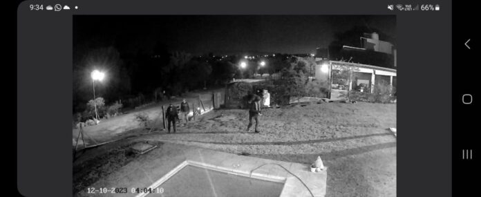 WhatsApp Image 2023-12-10 at 10.57.12