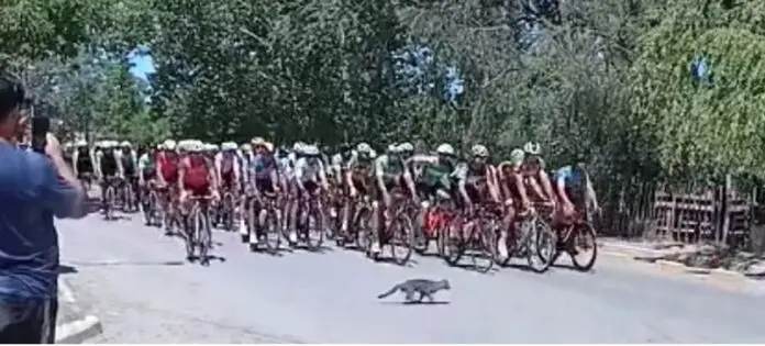 ciclistas rio negro