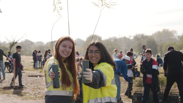 reforestar