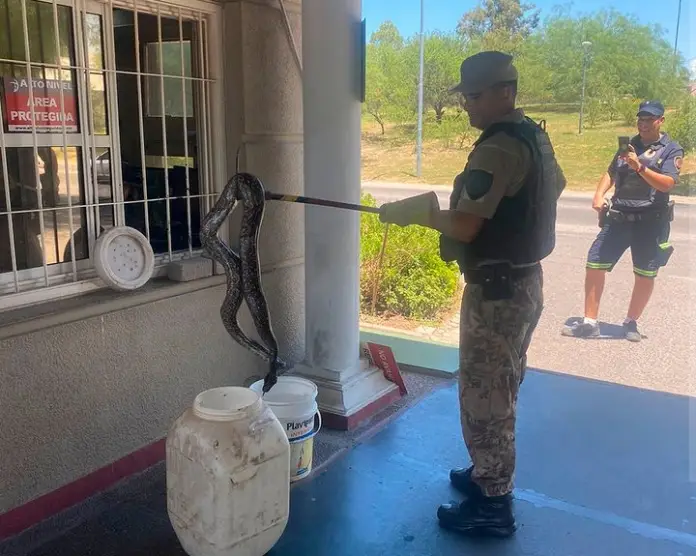 Screenshot_20240130-202109