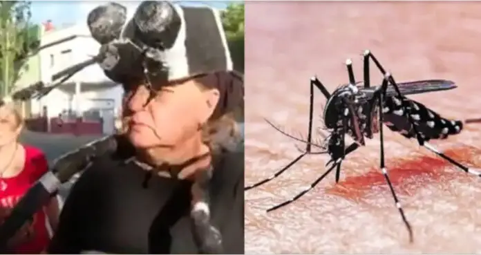 brigada de mosquitos