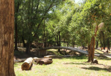 Parque Estancia La Quinta: cómo acceder a las visitas guiadas y gratuitas para escuelas y turistas