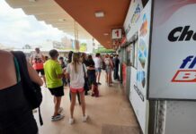 Larga distancia: el Gobierno eliminó las compensaciones por pasajes gratuitos de salud y las empresas deberán absorber el costo