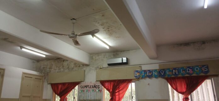 WhatsApp Image 2024-02-27 at 11.55.39