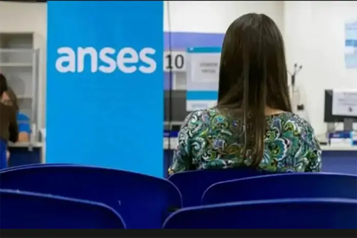 anses asignaciones