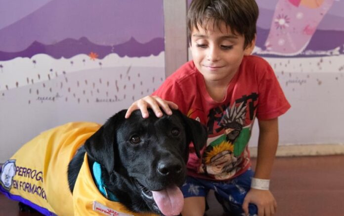 perros