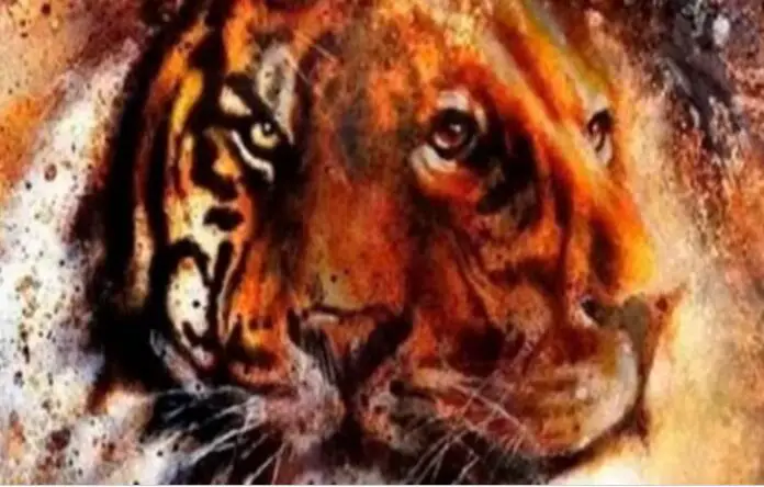 tigre