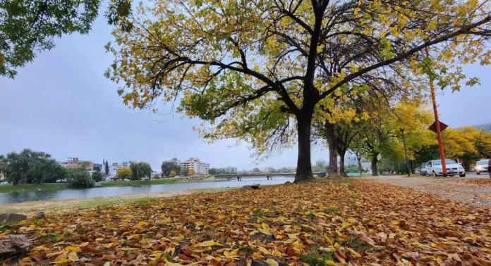 carlospaz-23-04-24 (1)