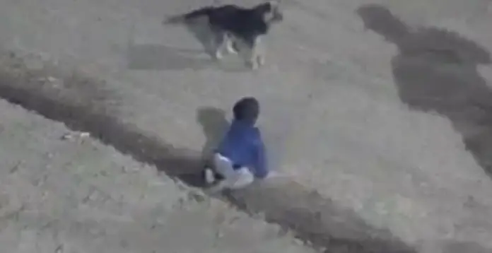 Captura de pantalla (315)