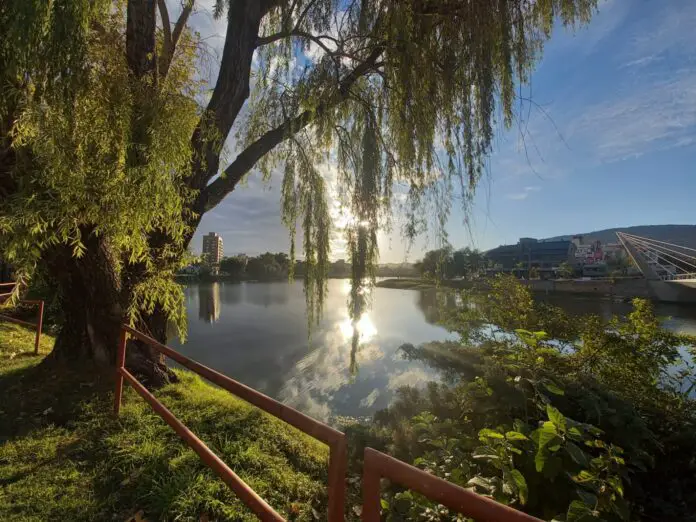 WhatsApp Image 2024-05-13 at 08.57.16