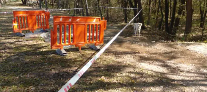 WhatsApp Image 2024-05-18 at 13.34.49 (1)