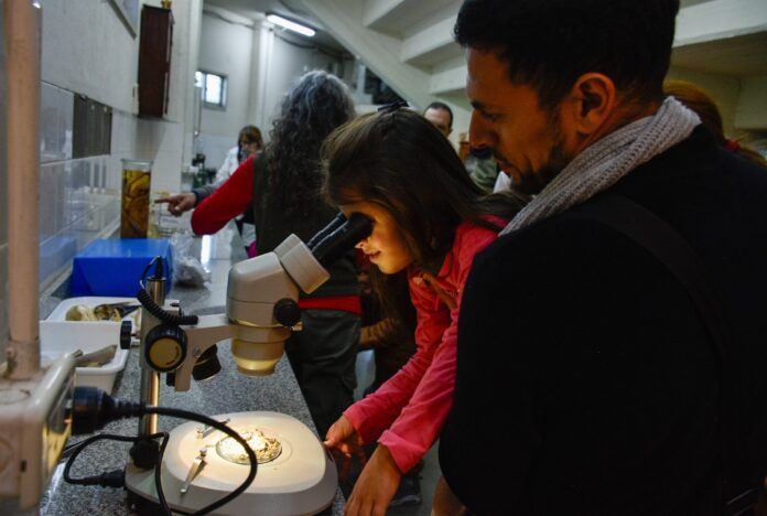 WhatsApp Image 2024-05-19 at 13.19.09