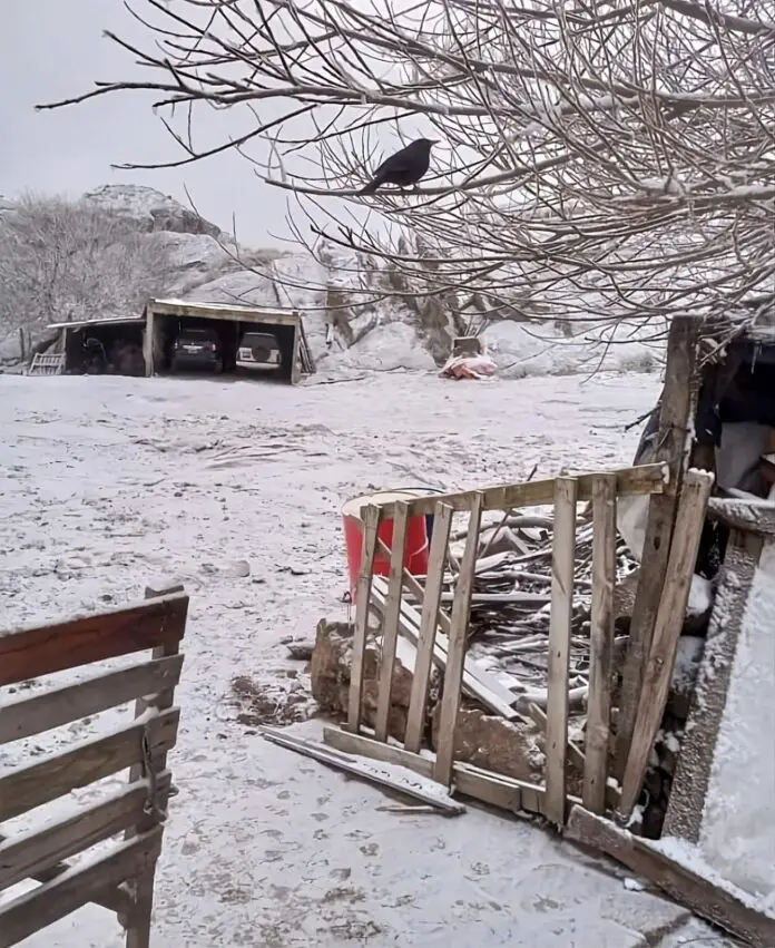 WhatsApp Image 2024-05-25 at 10.11.28