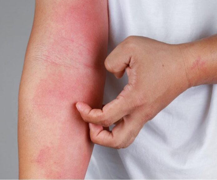 WhatsApp Image 2024-05-30 at 12.16.14