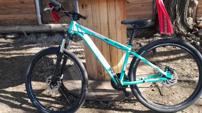 bicicleta-robada (1)
