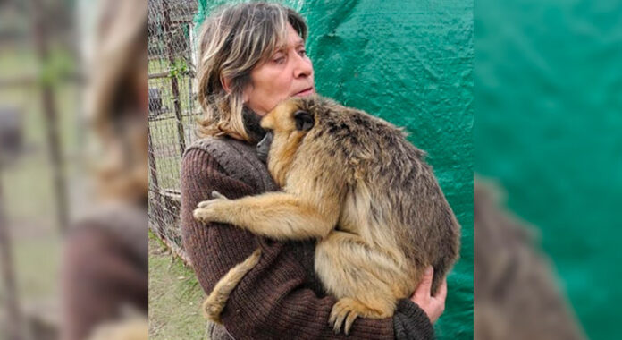 Alejandra Juárez es la directora general de la ONG.