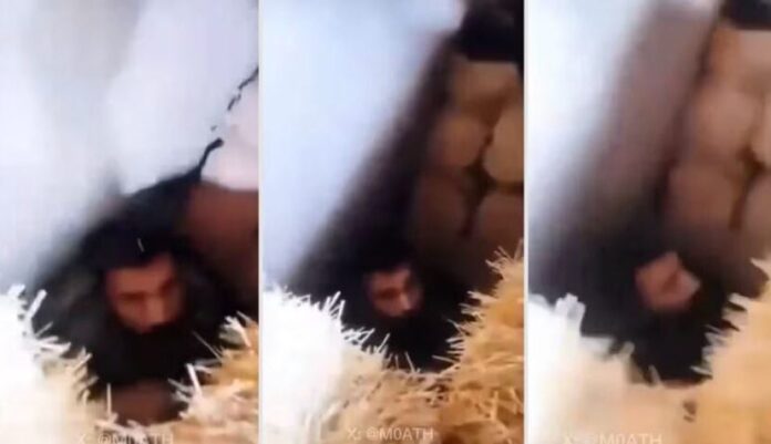 omar-desaparecido-argelia-828x477