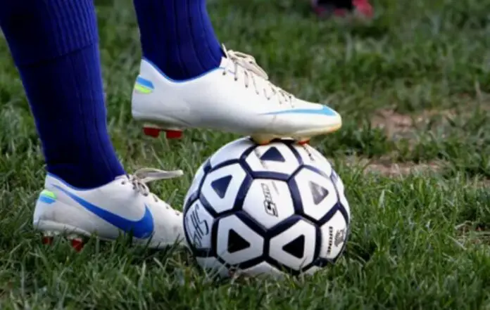 pelota