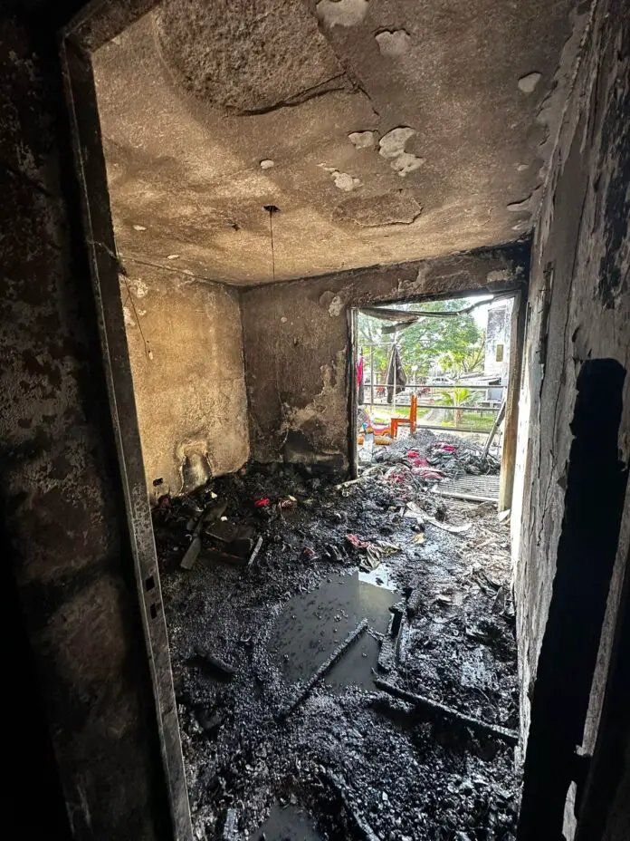 WhatsApp Image 2024-06-27 at 06.02.08