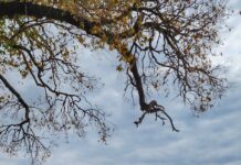 Días templados en Carlos Paz: cómo seguirá el tiempo en la primera semana de agosto