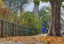 Templado y con probabilidad de tormentas en Carlos Paz ¿Para cuándo están previstas la lluvias?
