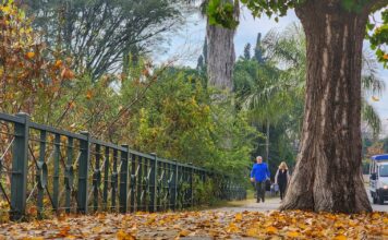 Templado y con probabilidad de tormentas en Carlos Paz ¿Para cuándo están previstas la lluvias?