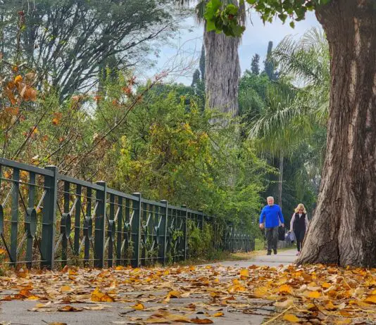 Templado y con probabilidad de tormentas en Carlos Paz ¿Para cuándo están previstas la lluvias?