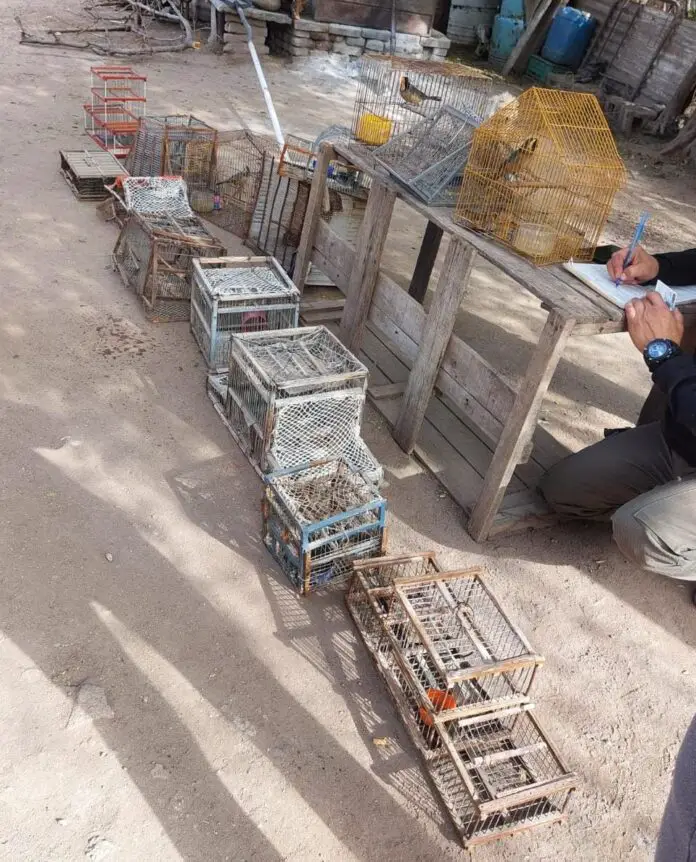 WhatsApp Image 2024-07-04 at 19.16.50