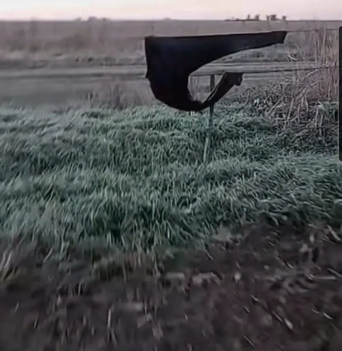 WhatsApp Image 2024-07-09 at 17.22.43