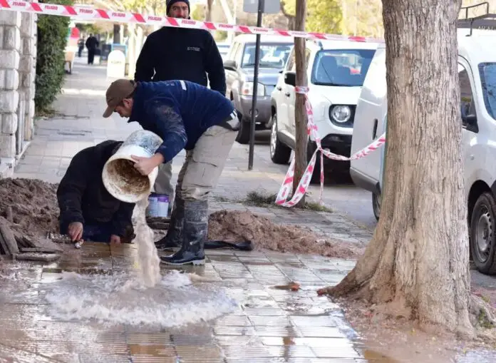 WhatsApp Image 2024-07-11 at 15.24.54