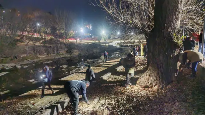 WhatsApp Image 2024-07-12 at 12.26.10