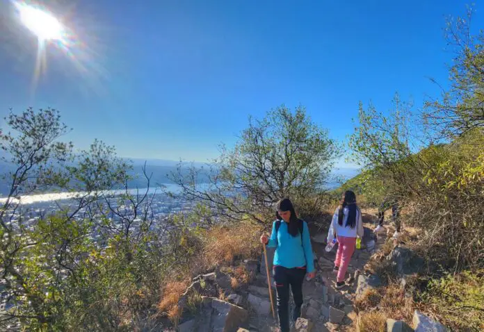 WhatsApp Image 2024-07-14 at 10.47.33