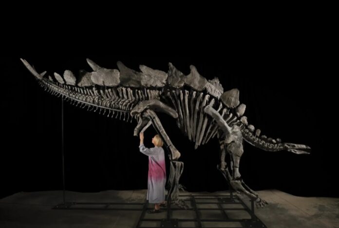 dinosaurio