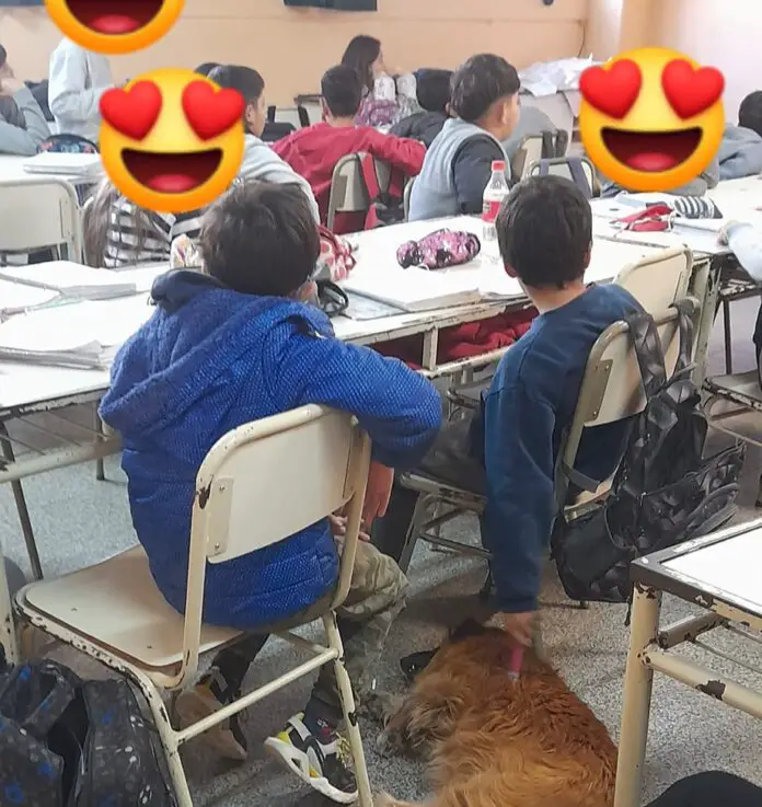 escuelas1111