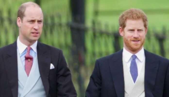 pricipes britanicos