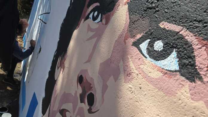 Diego y la Acaade (4)