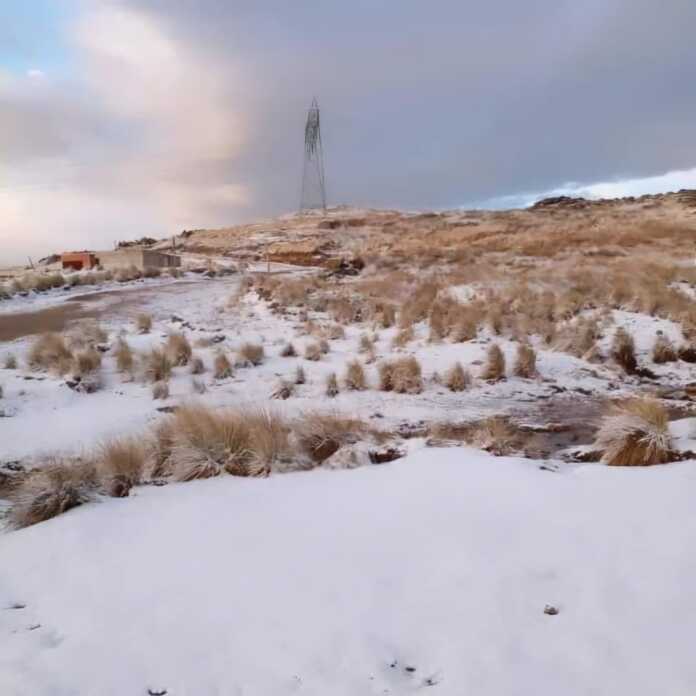 WhatsApp Image 2024-08-03 at 10.24.46