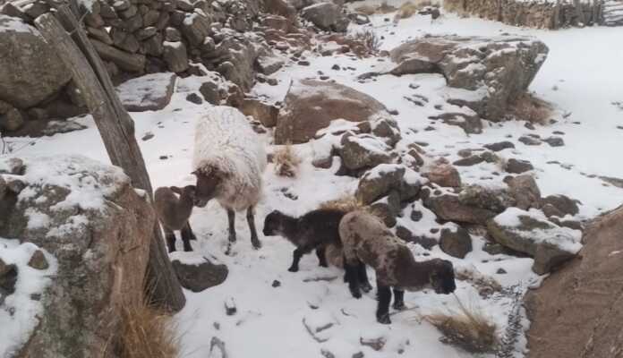 WhatsApp Image 2024-08-24 at 02.25.12