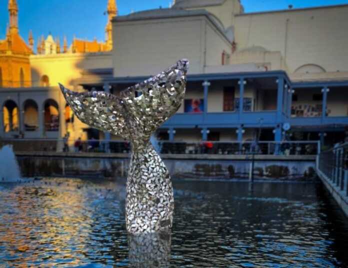 WhatsApp Image 2024-08-25 at 14.41.43