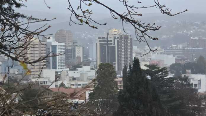 WhatsApp Image 2024-08-30 at 18.59.31