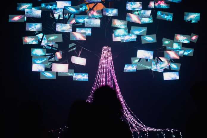 arbol-de-la-vida-2-1-1024x683